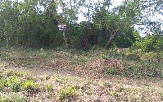 Solar en Autovía del Este, Juan Dolio